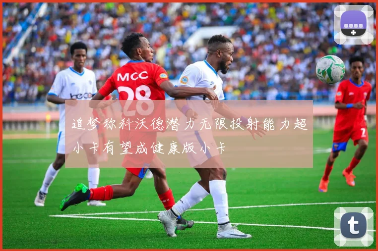 追梦称科沃德潜力无限投射能力超小卡有望成健康版小卡