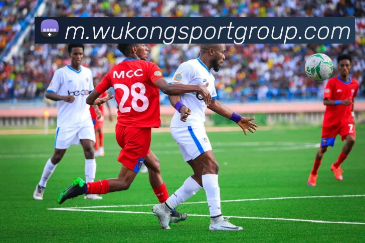 悟空体育平台生态图