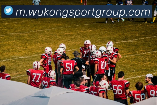 悟空体育全站App